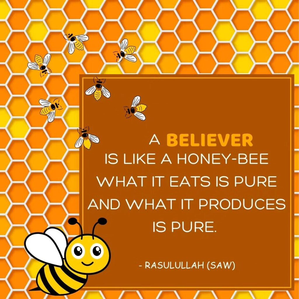 A Believer is like a honey bee What it eats is pure and what it produces is pure