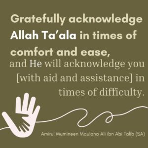 Gratefully acknowledge Allah Ta'ala in times of comfort and ease,and He will acknowledge you [with aid and assistance] in times of difficulty. - Amirul Mumineen Maulana Ali ibn Abi tablib (AS)