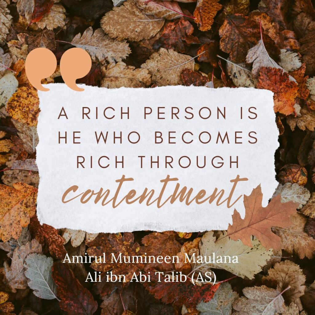 A rich person is he who becomes rich through contentment. - Amirul Mumineen Maulana Ali ibn Abi Talib (AS)