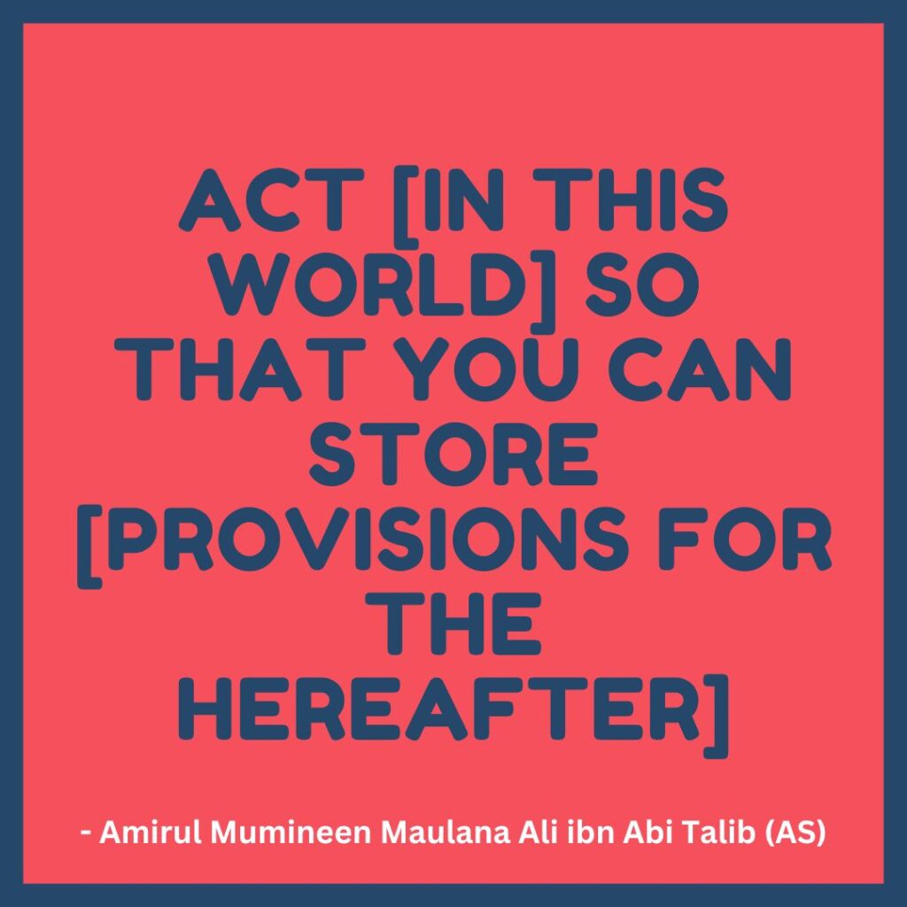 Act [in this world] so that you can store [provision for the hereafter]. - Amirul Mumineen Maulana Ali ibn Abi Talib (AS)