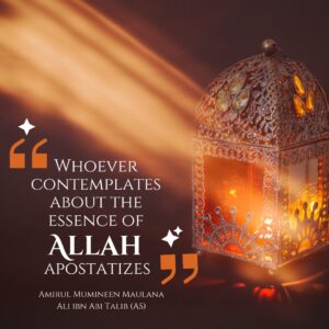 Whoever contemplates about the essence of Allah apostatizes. - Amirul Mumineen Maulana Ali ibn Abi Talib (AS)