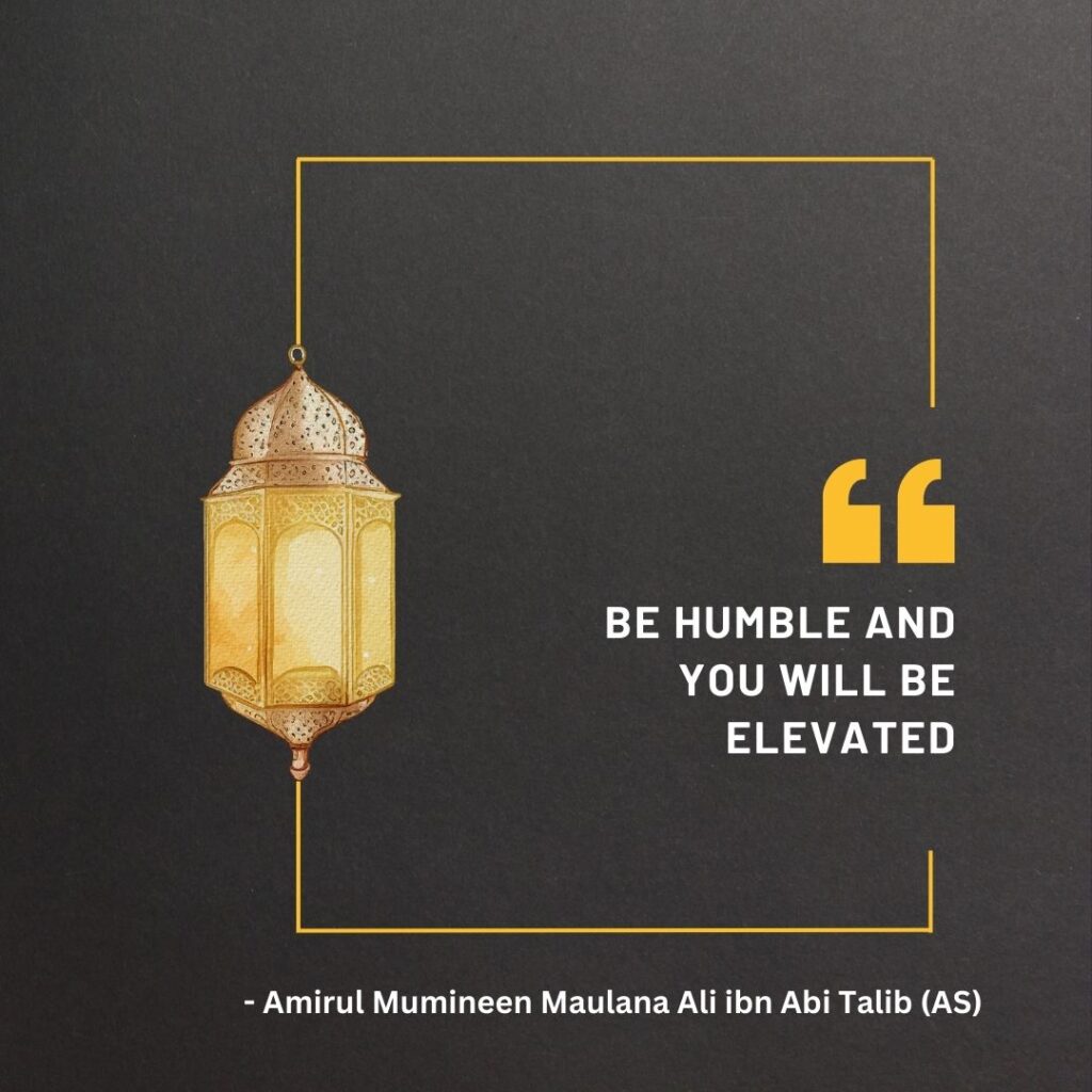 Be humble and you will be elevated. - Amirul Mumineen Maulana Ali ibn Abi Talib (AS)