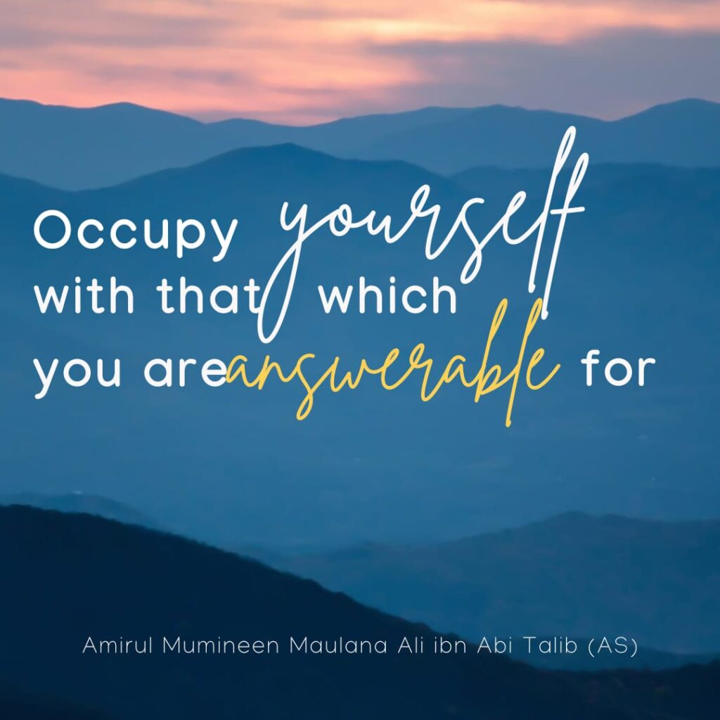 Occupy yourself with that which you are answerable for. - Amirul Mumineen Maulana Ali ibn Abi Talib (AS)